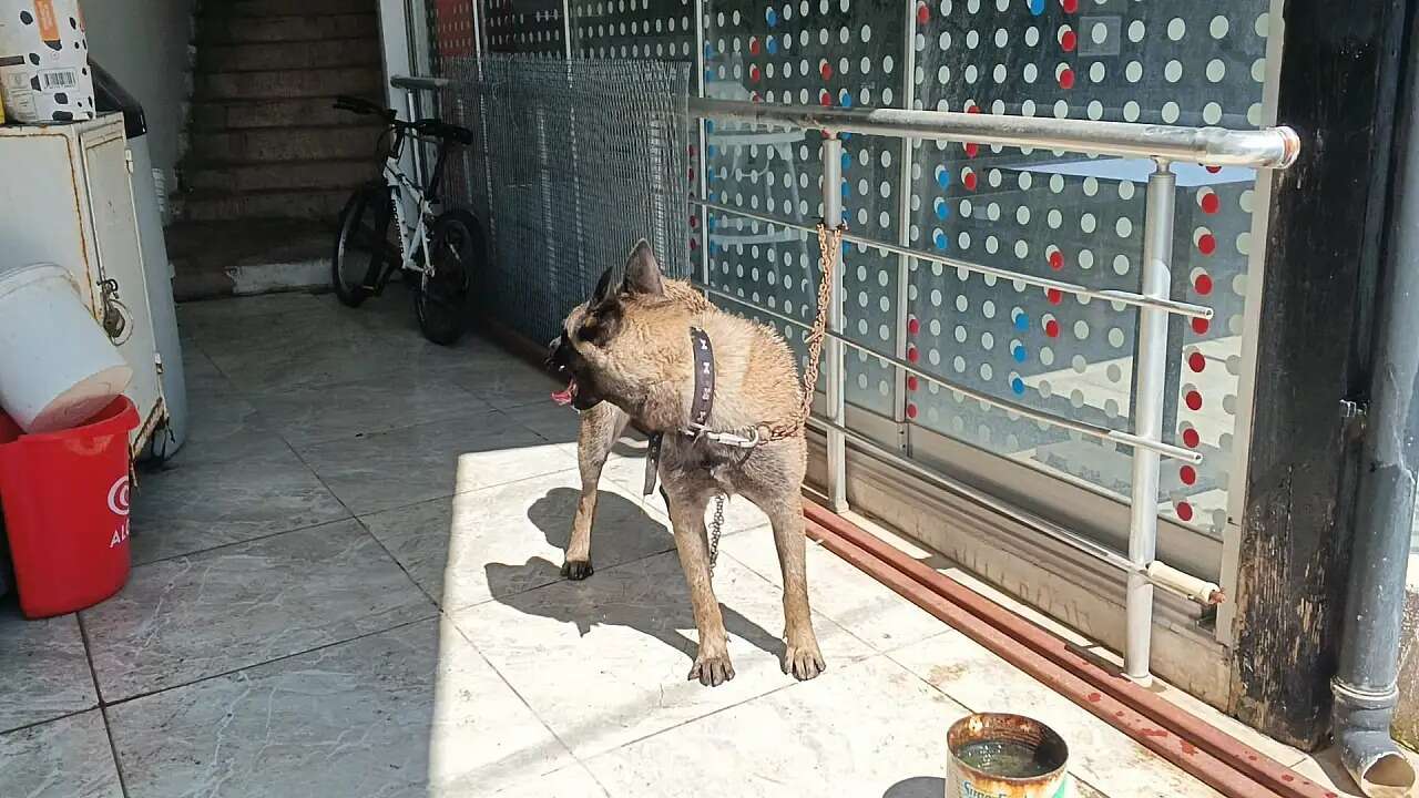 Muğla’da Korkutan Yangın: Bir Can Telef Oldu 3